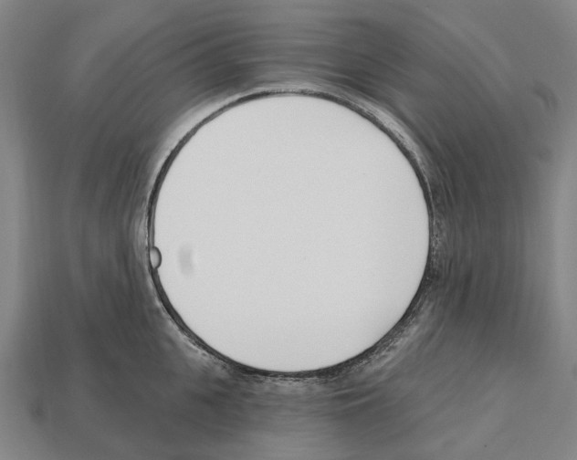 X0000112540951200909281056