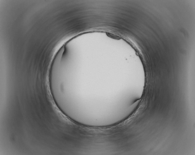 X0000112540952200909281056