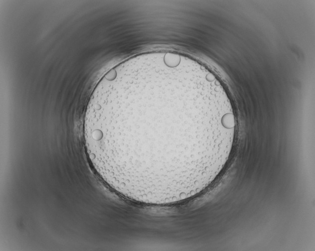 X0000112540953200909281056