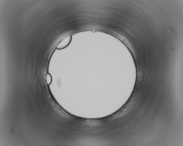 X0000112540954200909281056