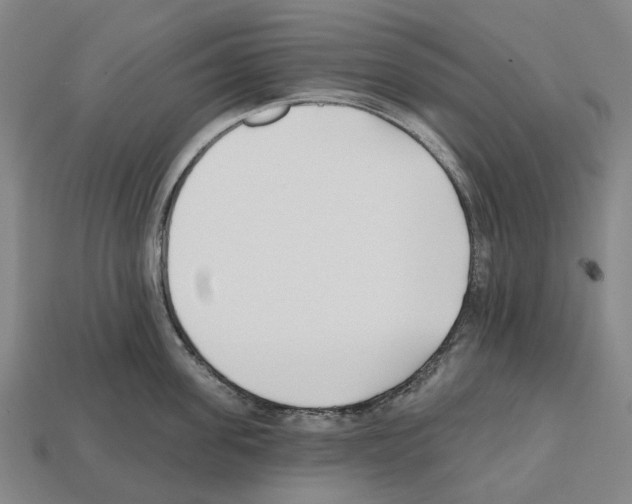 X0000112540955200909281056