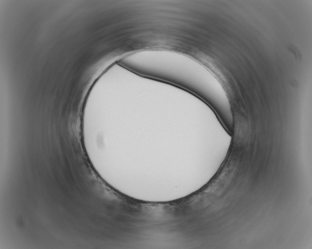 X0000112540956200909281056