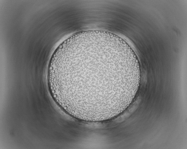 X0000112540957200909281056