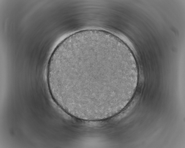 X0000112540958200909281056