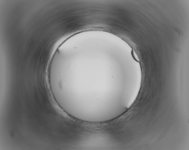 X0000112540960200909281056