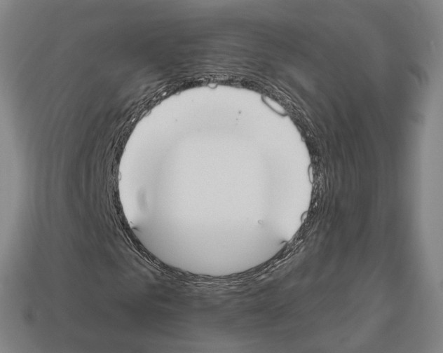 X0000112540961200909281056
