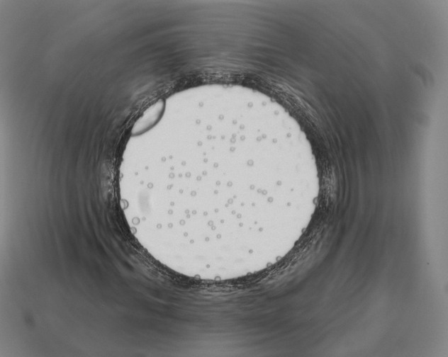 X0000112540964200909281056