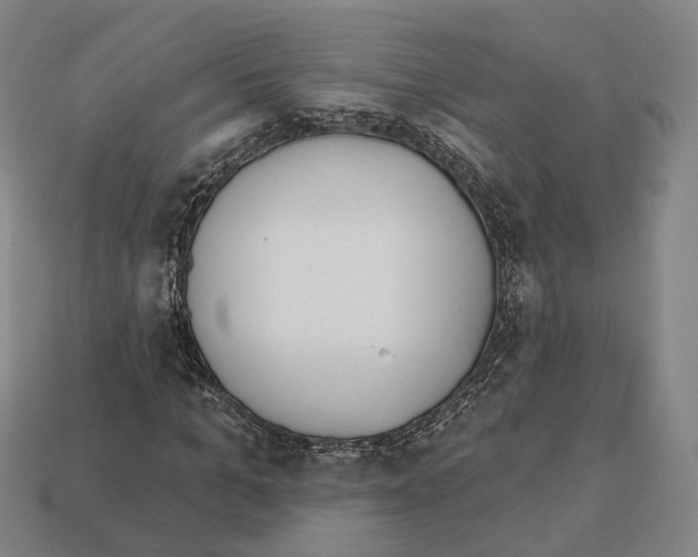 X0000112540965200909281056