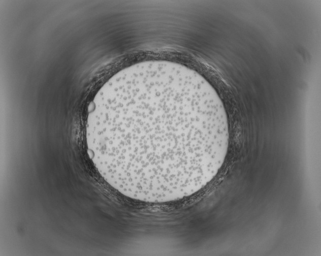 X0000112540966200909281056