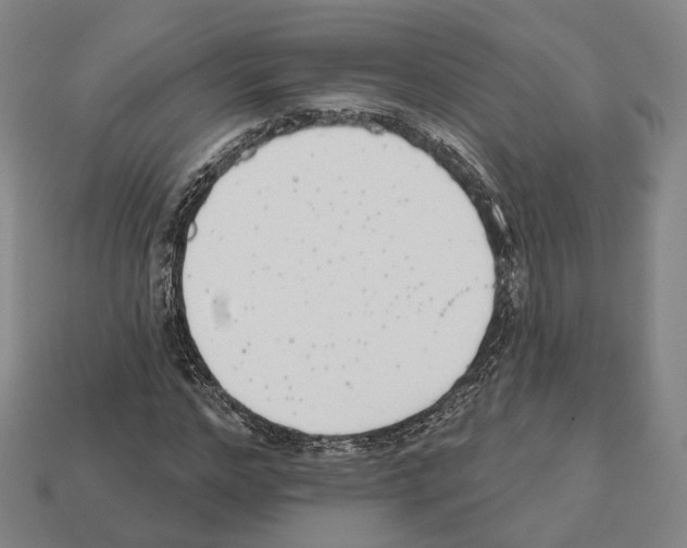 X0000112540968200909281056