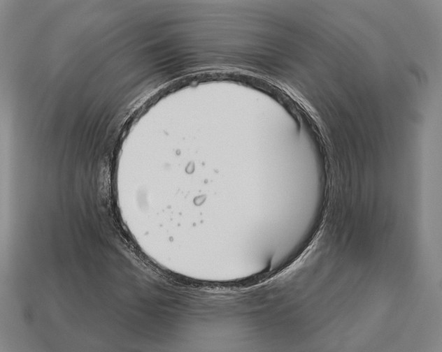 X0000112540969200909281056