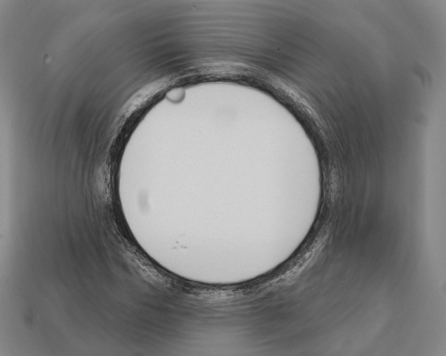 X0000112540970200909281056