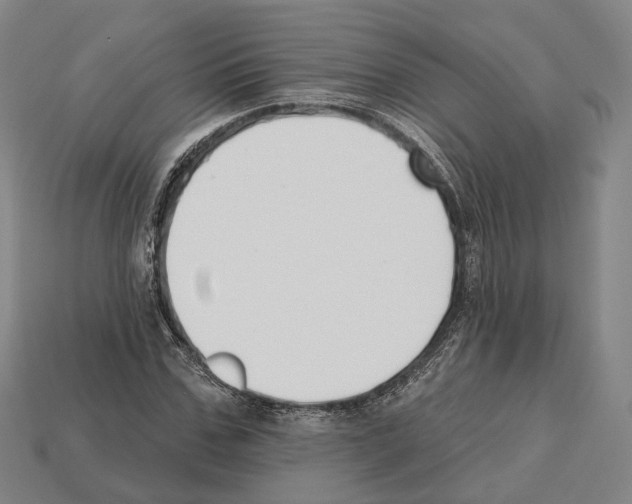 X0000112540971200909281056