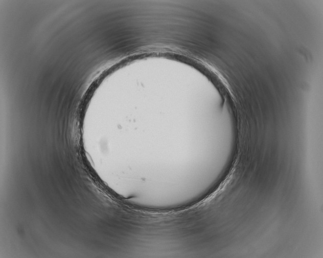 X0000112540973200909281056