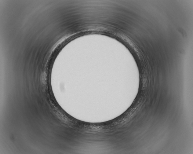 X0000112540975200909281056