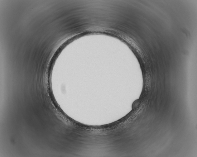 X0000112540976200909281056