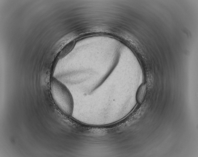 X0000112540977200909281056