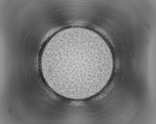 X0000112540978200909281056