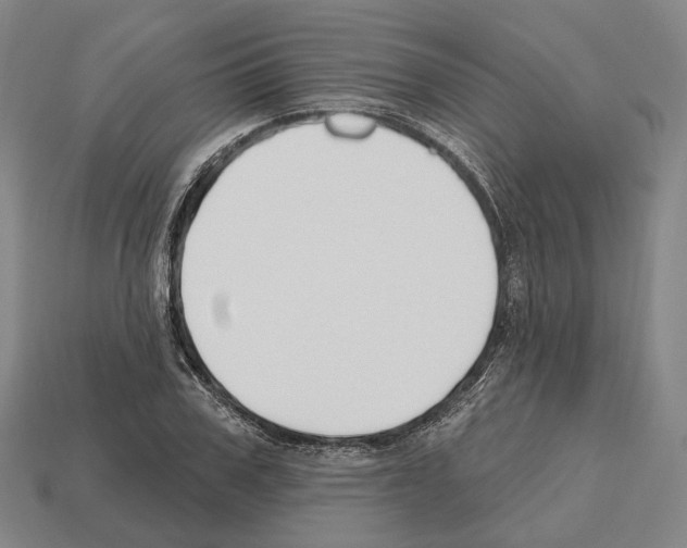 X0000112540979200909281056