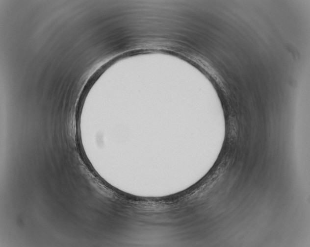 X0000112540980200909281056