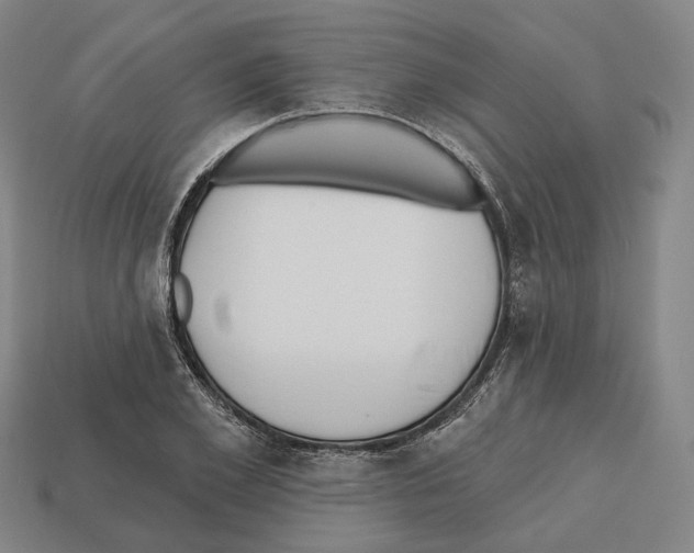 X0000112540981200909281056
