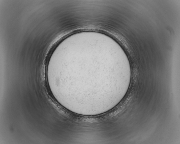 X0000112540982200909281056