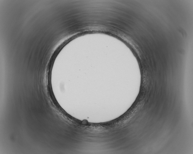 X0000112540983200909281055