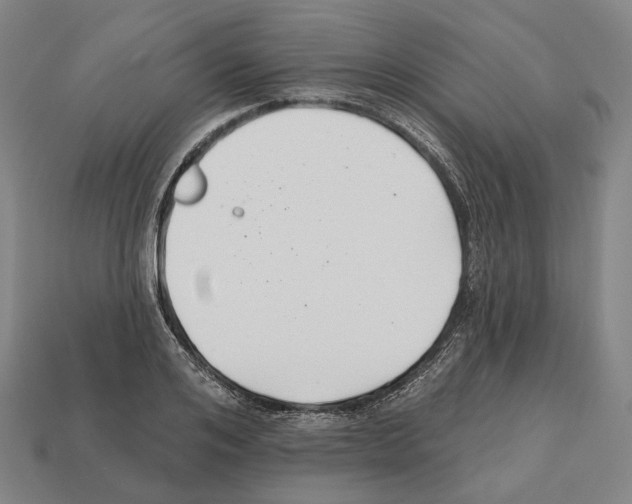 X0000112540984200909281055