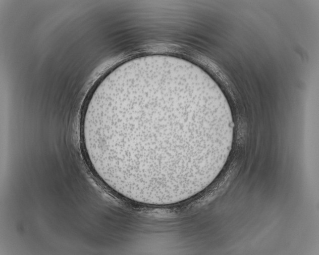 X0000112540986200909281055