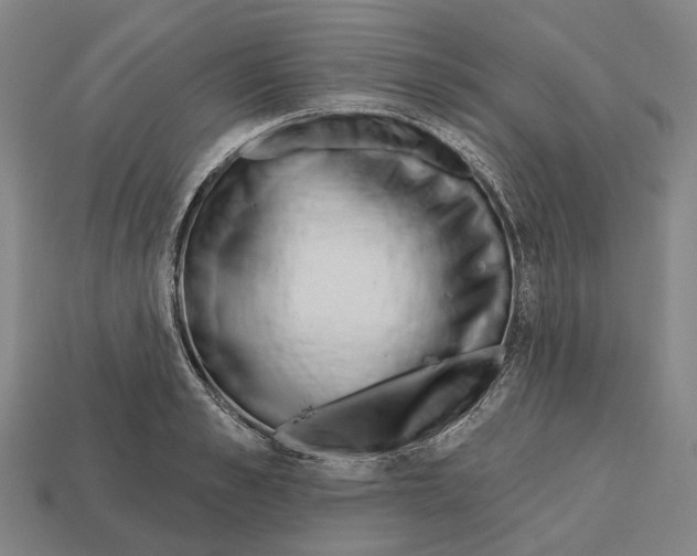 X0000112540989200909281055