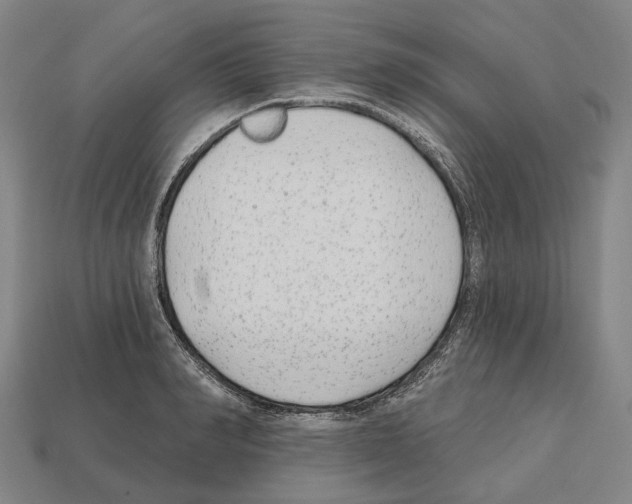 X0000112540990200909281055
