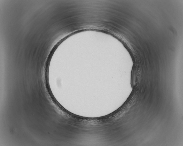 X0000112540991200909281055