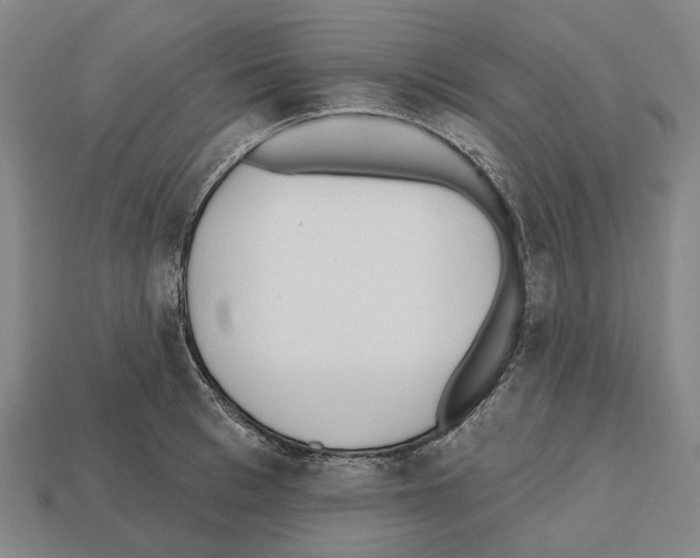 X0000112540993200909281055