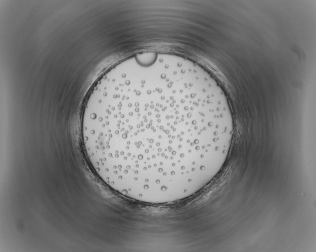 X0000112540994200909281055