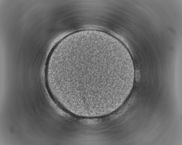 X0000112540995200909281055