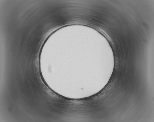 X0000112540996200909281055