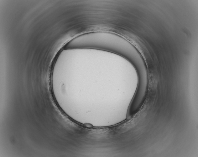 X0000112540997200909281055