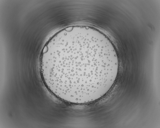 X0000112540998200909281055