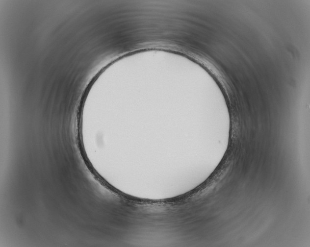 X0000112540999200909281055