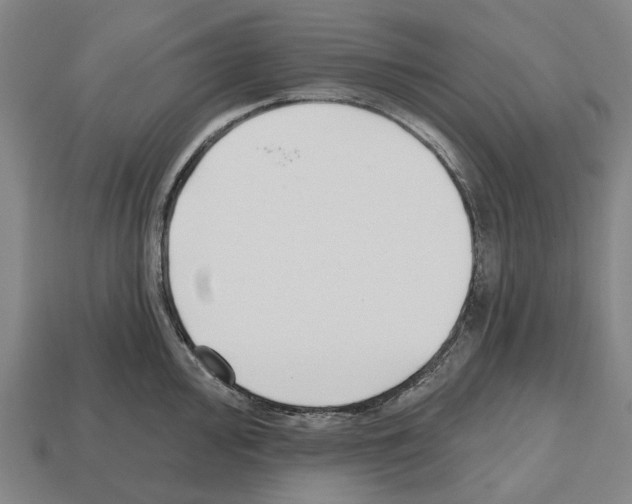 X0000112541000200909281055