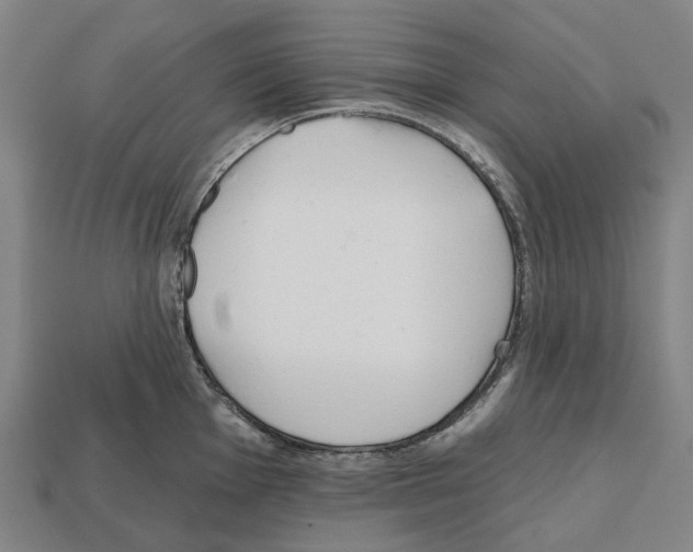 X0000112541001200909281055