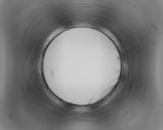 X0000112541002200909281055