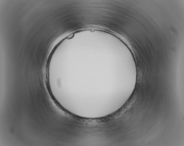 X0000112541003200909281055