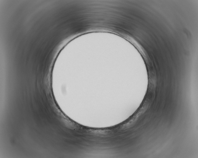 X0000112541004200909281055