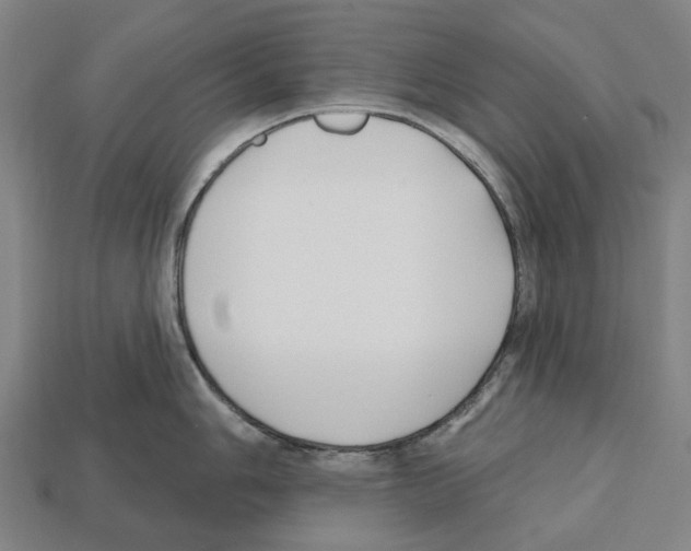 X0000112541006200909281055
