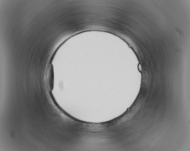 X0000112541007200909281055