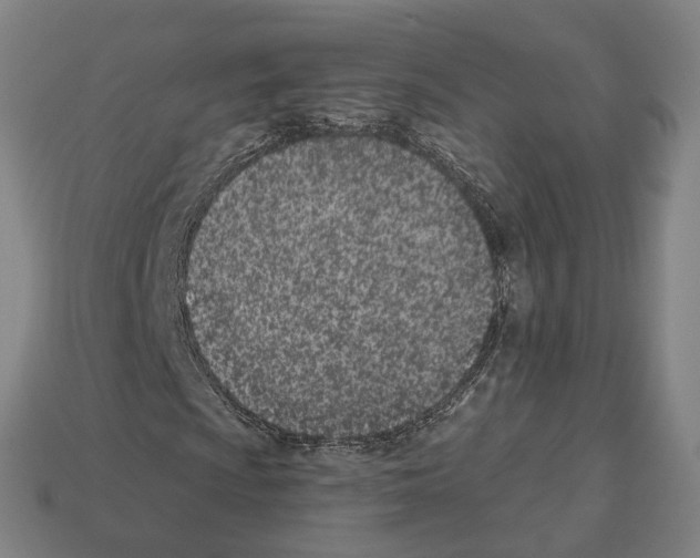 X0000112541009200909281054