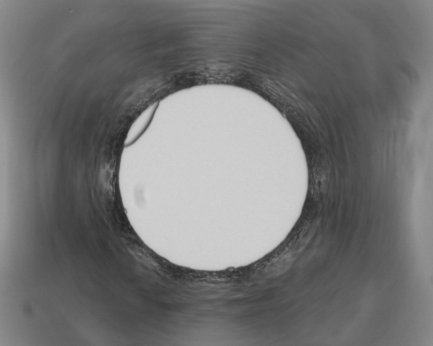 X0000112541010200909281054
