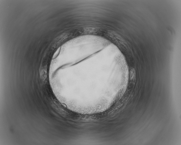 X0000112541011200909281054