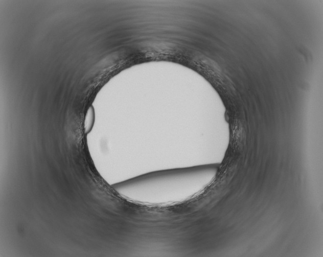 X0000112541012200909281054